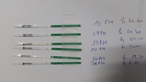 Test Di Ovulazione Canadesi Betahcg